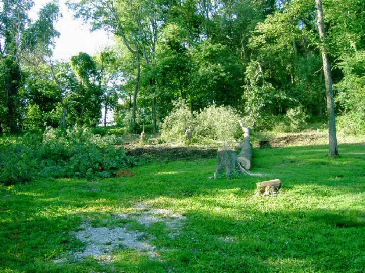 The same lot with trees down and brush cleared